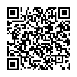 小胖的嘴里又出了那种只有海洋生物能够听懂的声波二维码生成