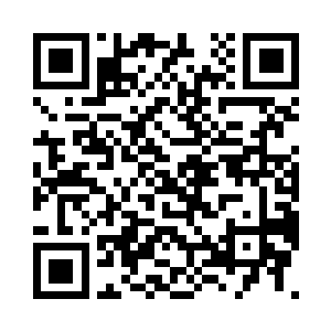 小胖终于知道它的记忆里遗失了什么了二维码生成