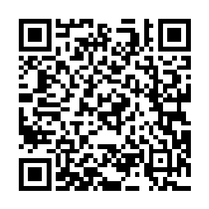 小胖要把这些本不该存在于这个世界上的生物全部消灭二维码生成