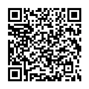 小胖靠着天火塔的力量并非完全改变九转神皇诀二维码生成