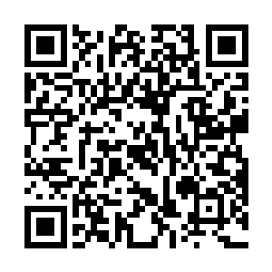 小胳臂小腿的兄弟会作为一个江湖组织如何敢牵扯进去二维码生成