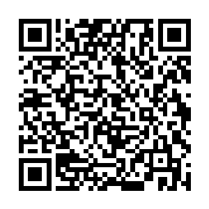小舅舅这种戴着金丝边眼睛外表文化人内心脏乱差的二维码生成