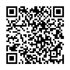 小舞屡战屡败屡败屡战用身体一端去缠绕目标鬼魂的尾巴二维码生成