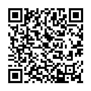 小苏小光只不过负责为这种创意进行计算和模拟二维码生成