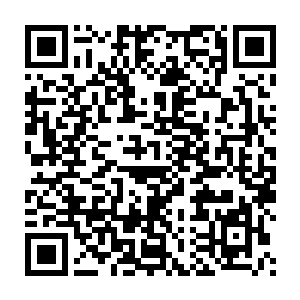 小范围内不断进行着高速移动而产生的残影把两人的身形全都遮住二维码生成