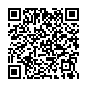 小荷一直以不同的身份出现在自己和曲华裳身边二维码生成