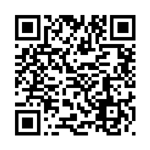 小荷小藕有些不太习惯握手的礼仪二维码生成