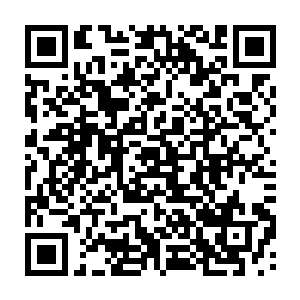 小莉应该还是有脑子会去检查吧……不过刚才他过来可是说把卡放这儿了二维码生成