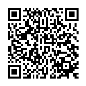小菜中最常见最普及南北皆爱陪伴无数人渡过食堂岁月的经典二维码生成