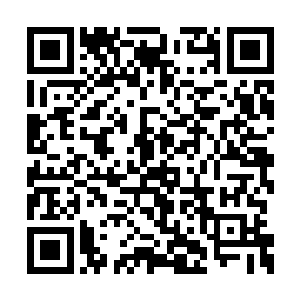 小萌龙完全不明白自家主子为何一脸肉痛的表情二维码生成