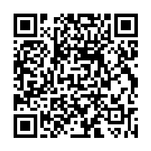 小萝莉妞妞和熊孩子李言恭赖在朱平安这用的晚膳二维码生成