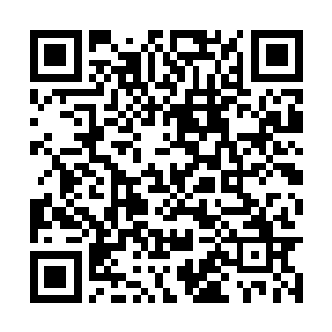 小萝莉妞妞和熊孩子睿哥儿在李姝软榻上玩了一会二维码生成