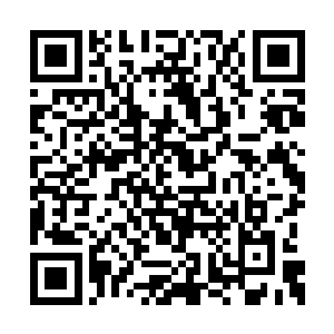 小蓝也能感受到她在鼓励和期待自己完成这件事二维码生成