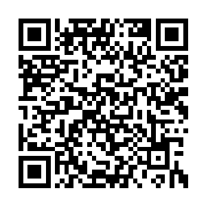 小蓝对体内忽然多出来的这么多灵气有点不适应二维码生成