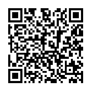 小薇立刻感受到一股庞大清新的气息涌入自己的身体二维码生成