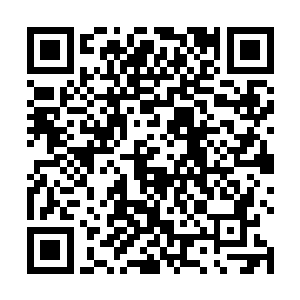 小说中的人物总是显示社会或非显示社会中孤立的群体二维码生成
