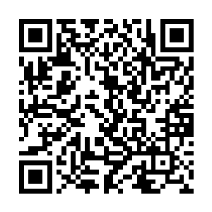 小赌神唐猛此时正和赵磊商量着怎么去跟谢俊彦要钱二维码生成