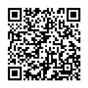 小辣椒自认为自己的马术水平那已经是相当高的了二维码生成