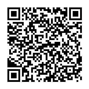小迈克一紧张加上这么久在水中泡着就这么被土狗同志吓的晕了过去二维码生成