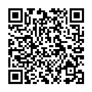 小金便好像是一根巨重无比的金属球一样砸到了地板上二维码生成