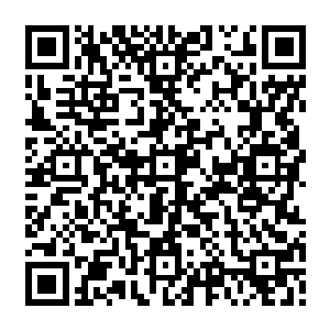 小金的实力比起刚才被龙傲天干掉的那个顶级神中期顶峰的堕落天使还要强上一线二维码生成