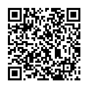小锤子上的神识烙印随着梁长老的彻底灰飞烟灭而消失二维码生成