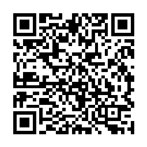 小闻迫不及待地拨出那个读大洋越来越少拨出的号码二维码生成