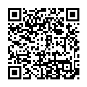 小院的门口还立着两只大约一米七高度的石狮子二维码生成