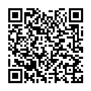 小霞他们就能够感觉到自己的对手的身手没有削弱二维码生成
