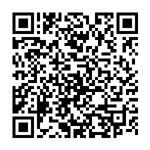 小骨毫不犹豫地让自己的骷髅大军扑向那些如同蝼蚁一样的人群…二维码生成