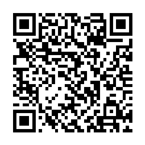 小骷髅没有理会落到自己骨头架子之上的爆裂箭碎片二维码生成