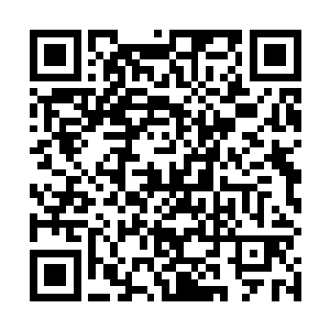 小鬼子的海洋学家们最快也是第一个订了渡假村的房间二维码生成