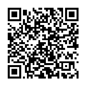 小魔仙沾了自己的光也得到了修罗天道的修炼之法二维码生成
