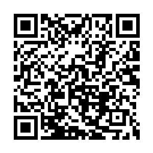 小魔仙看着手上不断闪亮出一道道光芒的积分卡二维码生成