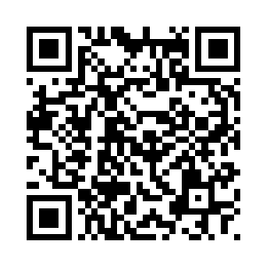 小麒麟现在就是一个小圆球的样子二维码生成