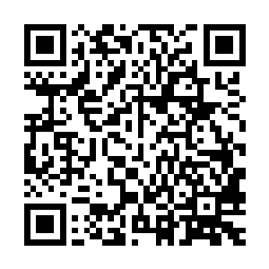 小麦姬说完示意旁边站着的一个小伙伴把手中的册子递给了贝海二维码生成