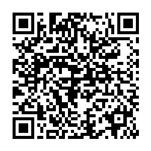 小黄鸡透过数据看见夏天萌与擎天的生命值在以肉眼可见的速度消逝二维码生成