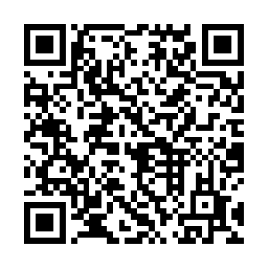 小龙有一个非常大的弱点……外界的天地灵气太稀薄了二维码生成