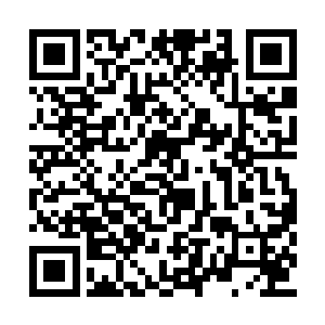 少则三五日多则十数天便又要出海去天竺国朝佛二维码生成