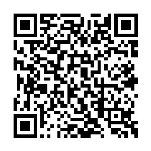 少太山各路洞主及蓝玉门弟子陆续抵达跳下龙驹二维码生成