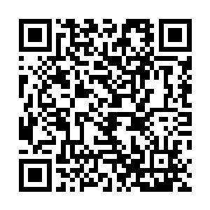 少女们怎么可能叫丽丽现在上楼去破坏她们完美的计划呢二维码生成