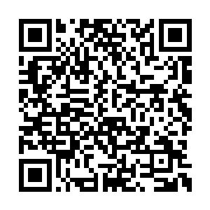 少女体内的御天功层次根本没有胜屠无双的强大二维码生成