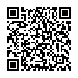 少女如黑钻般的美眸在幽暗中散发着动人的光泽二维码生成