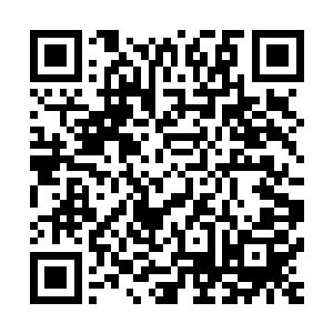 少女小小的手同这把成人来拿都有些坠手的武器比例相差极大二维码生成