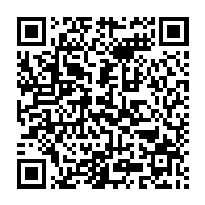 少女生怕这个话不多的杀人狂突然凶性大发把自己当成豺狼人给剁了二维码生成