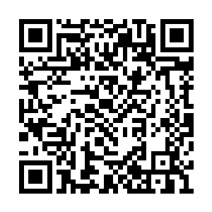 少女目光有些复杂的看了眼闭上眼睛疗伤的剑尘二维码生成