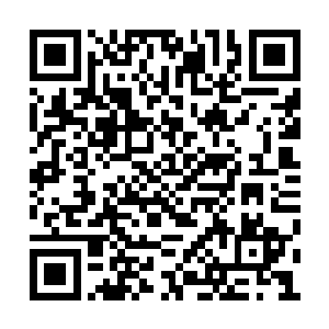 少师府的奴仆管事和陈二黑蒋麻子都齐刷刷跪下二维码生成