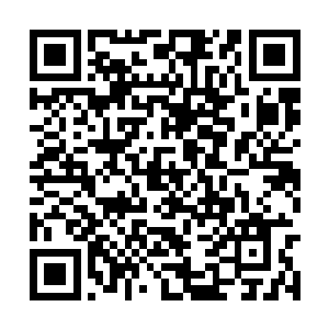 少年俊秀白皙的脸上带着令人感到舒服的柔和笑容二维码生成