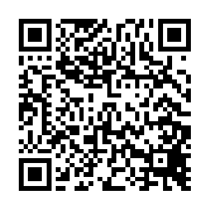 少年军们早在云峥和张陟对话的时候就已经准备好了弩箭二维码生成
