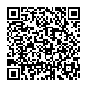 少年军再也按耐不住心中的战意老虎和豹子的战马甚至越过了梁楫和彭九二维码生成